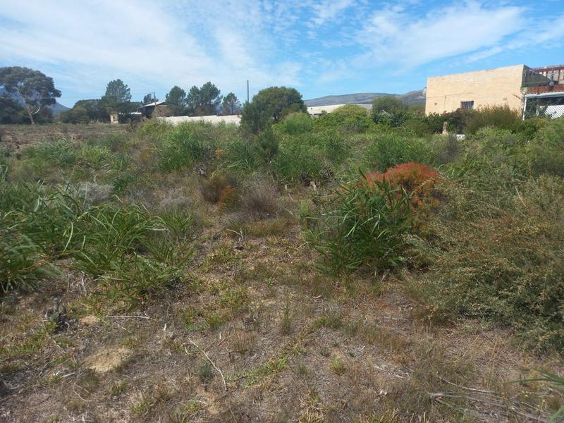 0 Bedroom Property for Sale in Fisherhaven Western Cape